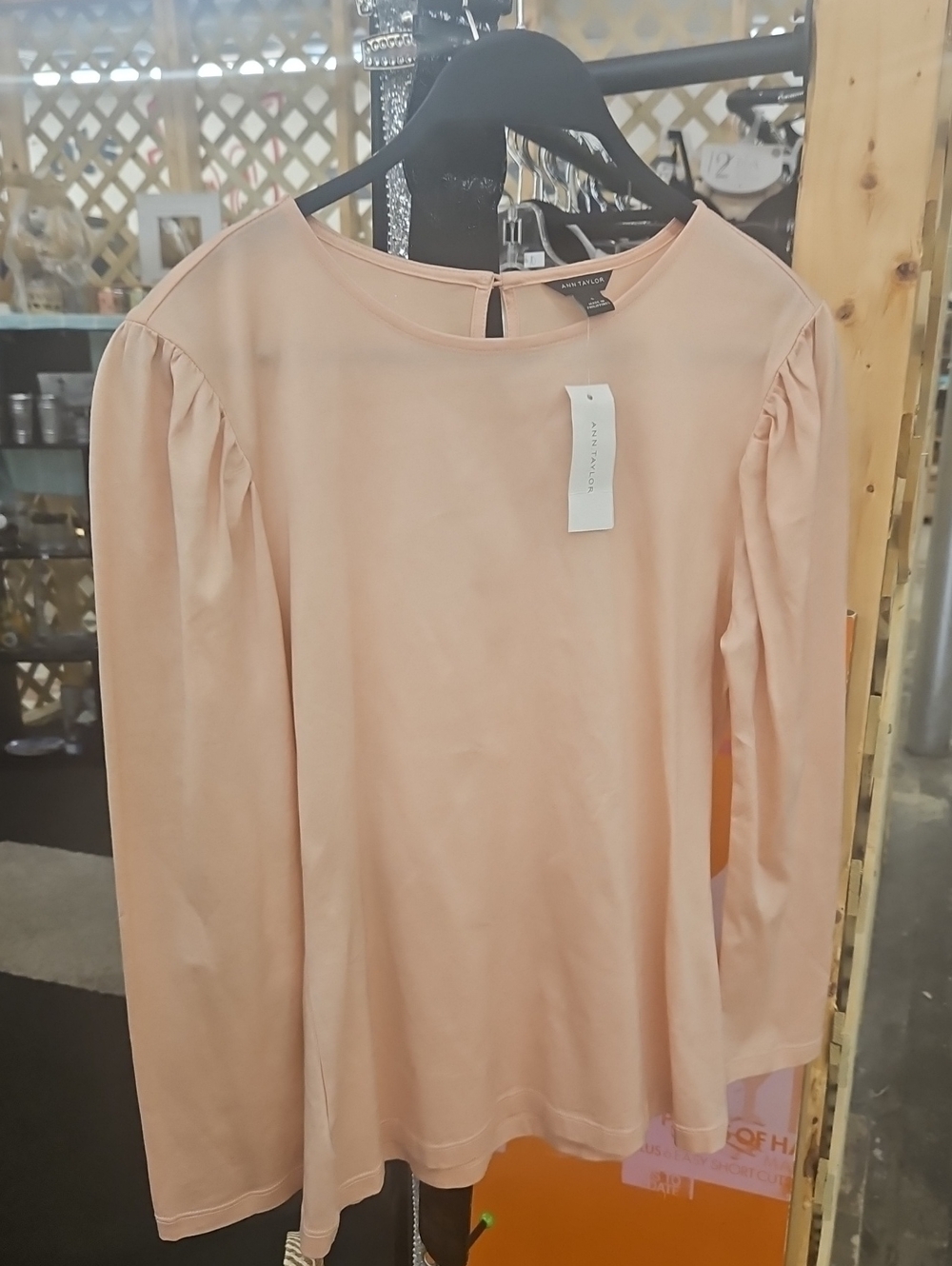 Ann Taylor Blush Pink Long-Sleeve Puff Shoulder Top